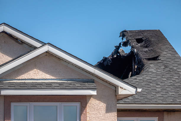 Top rated local Odor Removal specialists in Glencoe, MN